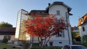 Casa Carmela